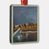 Norwegen, Svalbard, Spitsbergen Island, Setting Silbernes Ornament (Rechts)