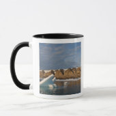 Norwegen, Svalbard, Spitsbergen Island, Setting Tasse (Links)
