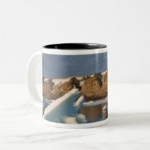 Norwegen, Svalbard, Spitsbergen Island, Setting Zweifarbige Tasse (Vorderseite Links)
