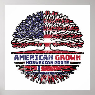 Norwegen USA USA USA Vereinigte Staaten Poster