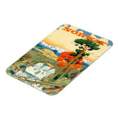 Norwegen, Wasserfall unter der Brücke, Magnet (Linke Seite)