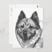 Norweger Elkhound Skizze Postkarte (Vorne/Hinten)