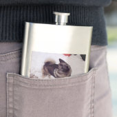 Norwegian_Elkhound_full 2 Flachmann (Beispiel)