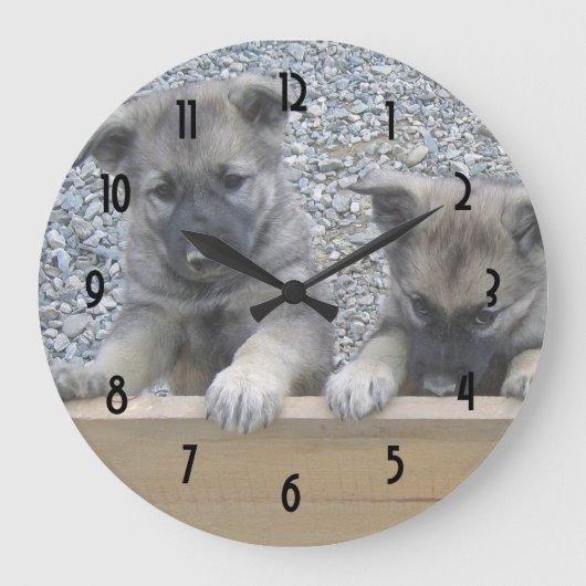 Norwegian Elkhound Puppies Große Wanduhr (Vorderseite)