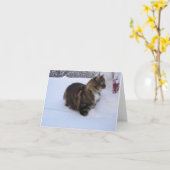 norwegian forest cat in snow karte (Gelbe Blume)
