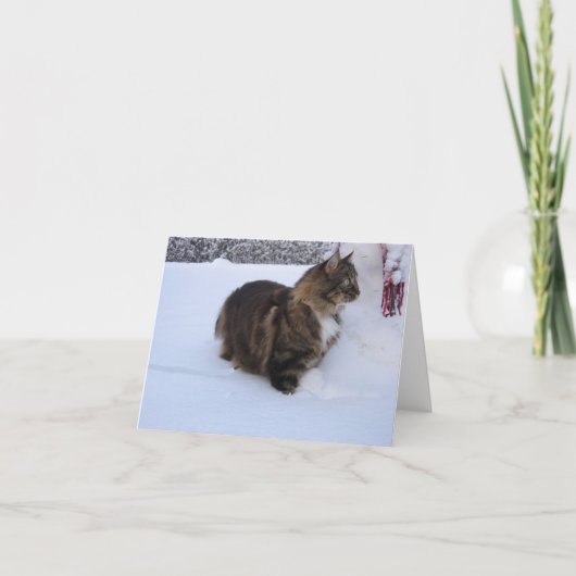 norwegian forest cat in snow karte (Vorderseite)