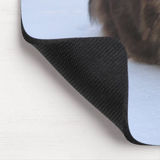 norwegian forest cat in snow mousepad (Ecke)