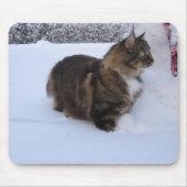 norwegian forest cat in snow mousepad (Vorne)