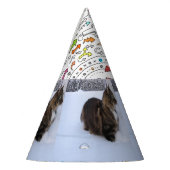 Norwegian Forest Cat in Snow Partyhütchen (Links)