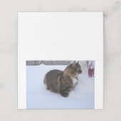norwegian forest cat in snow platzkarte (Außenseite Aufgefaltet)