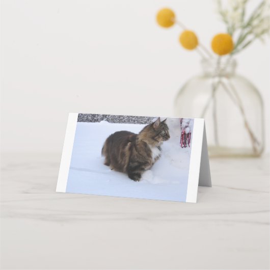 norwegian forest cat in snow platzkarte (Vorderseite)