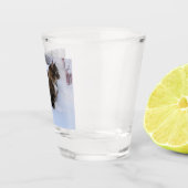 norwegian forest cat in snow schnapsglas (Rechts)