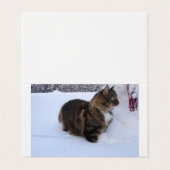 Norwegian Forest Cat in Snow Visitenkarten (Außenseite Aufgefaltet)
