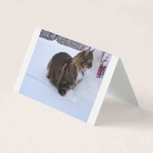 Norwegian Forest Cat in Snow Visitenkarten (Vorderseite)