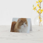 Norwegian_Forest_Cat Karte (Gelbe Blume)