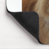 Norwegian_Forest_Cat Mousepad (Ecke)