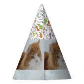 Norwegian_Forest_Cat Partyhütchen (Rückseite)