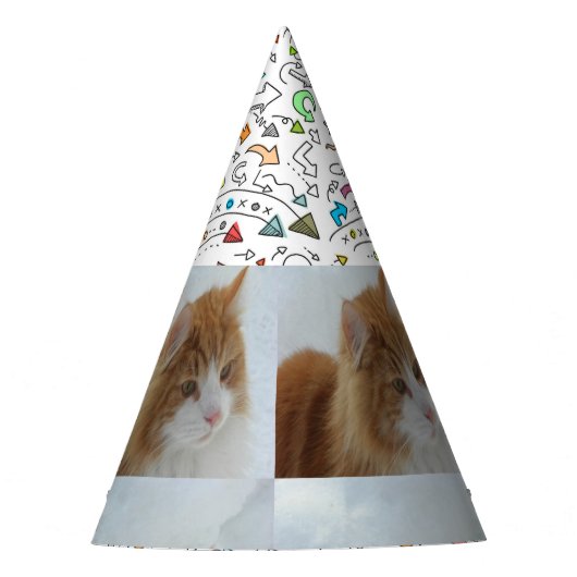 Norwegian_Forest_Cat Partyhütchen (Vorderseite)