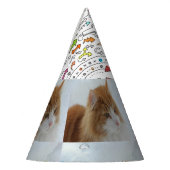 Norwegian_Forest_Cat Partyhütchen (Links)