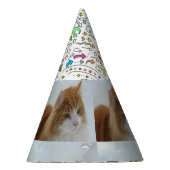 Norwegian_Forest_Cat Partyhütchen (Rechts)