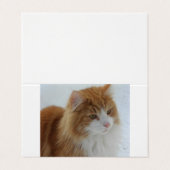 Norwegian_Forest_Cat Visitenkarten (Außenseite Aufgefaltet)