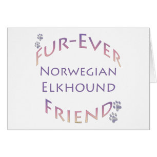 Norwegisch Elkhound Furever
