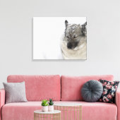 Norwegisch-Elkhound Leinwanddruck (Insitu (Wohnzimmer))