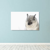 Norwegisch-Elkhound Leinwanddruck (Insitu (Holzboden))