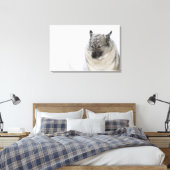 Norwegisch-Elkhound Leinwanddruck (Insitu (Schlafzimmer))