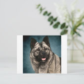 Norwegisch-Elkhound Postkarte (Stehend Vorderseite)
