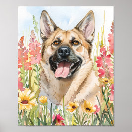 Norwegisch Elkhound Watercolor Doster Art Poster