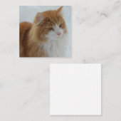 Norwegisch_Forest_Cat Begleitkarte (Vorne/Hinten)