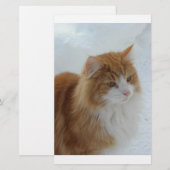 Norwegisch_Forest_Cat Briefpapier (Vorne/Hinten)