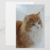 Norwegisch_Forest_Cat Briefpapier (Vorne/Hinten)