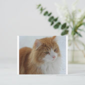 Norwegisch_Forest_Cat Feiertagspostkarte (Stehend Vorderseite)