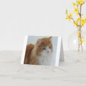 Norwegisch_Forest_Cat Karte (Gelbe Blume)