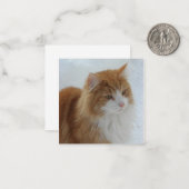 Norwegisch_Forest_Cat Mitteilungskarte (Vorderseite/Rückseite Beispiel)