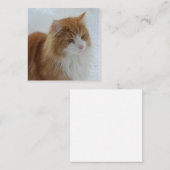 Norwegisch_Forest_Cat Mitteilungskarte (Vorne/Hinten)