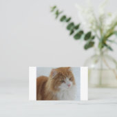 Norwegisch_Forest_Cat Platzkarte (Stehend Vorderseite)