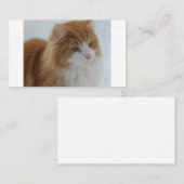 Norwegisch_Forest_Cat Platzkarte (Vorne/Hinten)