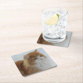 Norwegisch_Forest_Cat Rechteckiger Pappuntersetzer (Vor Ort)