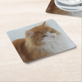 Norwegisch_Forest_Cat Rechteckiger Pappuntersetzer (angewinkelt)