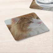 Norwegisch_Forest_Cat Rechteckiger Pappuntersetzer (angewinkelt)