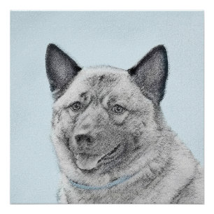 Norwegische Elkhound-Malerei - Original Hundeschic Poster