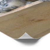 Norwegische Elkhound-Welpen Poster (Ecke)