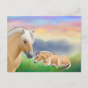 Norwegische Fjord Pferde Postkarte