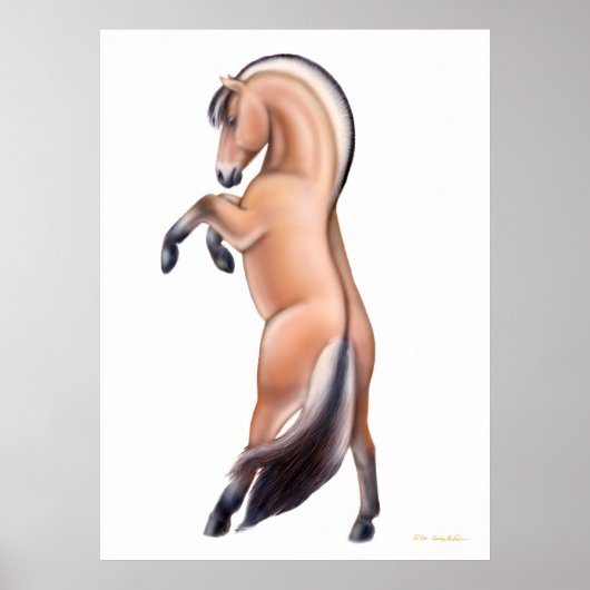 Norwegische Fjord-Pferdezucht Poster (Vorne)