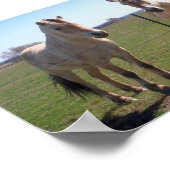 Norwegische Fjorde Poster (Ecke)