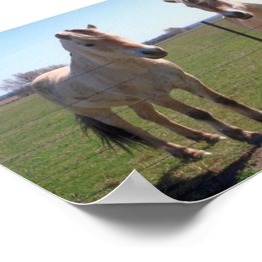 Norwegische Fjorde Poster (Ecke)