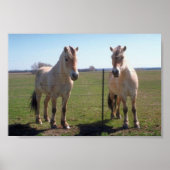 Norwegische Fjorde Poster (Vorne)